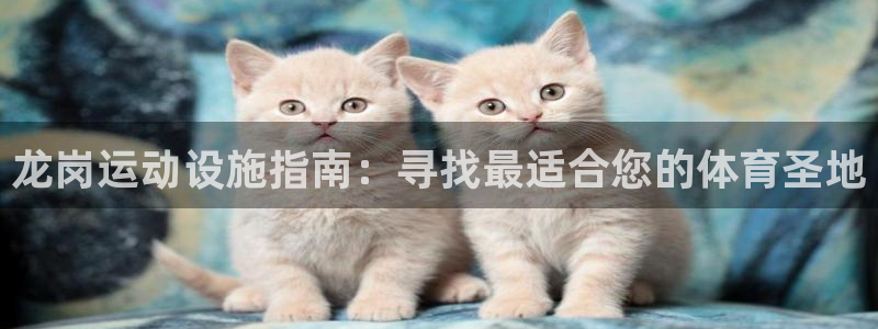 意昂3官网：龙岗运动设施指南：寻找最适合您的体育圣地