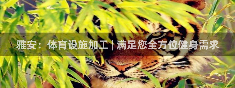 意昂3代理