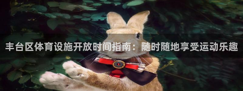 意昂3集团简介：丰台区体育设施开放时间指南：随时随地