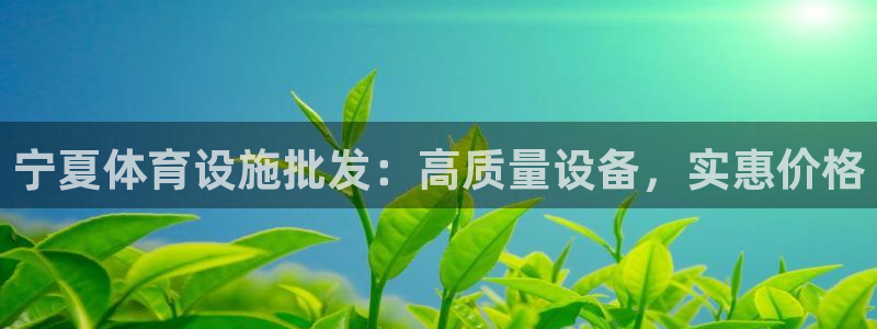 意昂体育3平台是正规平台吗：宁夏体育设施批发：高质量