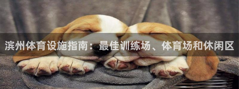 意昂体育3招商电话：滨州体育设施指南：最佳训练场、体