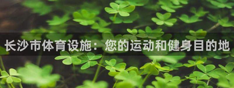 意昂体育3是干嘛的公司：长沙市体育设施：您的运动和健