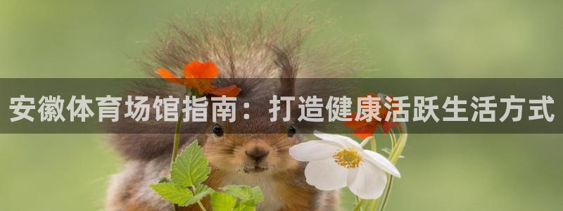 意昂体育3软件：安徽体育场馆指南：打造健康活跃生活方