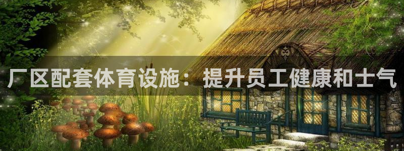 意昂体育3招商电话地址查询：厂区配套体育设施：提升员