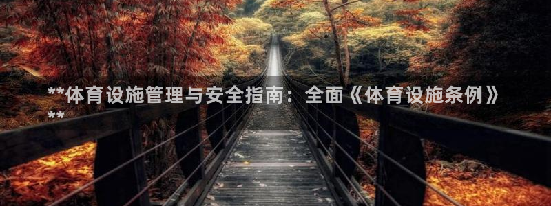 意昂3娱乐代理怎么样：**体育设施管理与安全指南：全