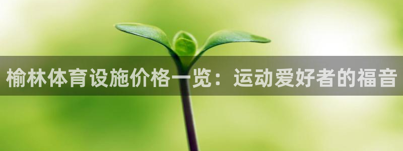 意昂3娱乐40996：榆林体育设施价格一览：运动爱好