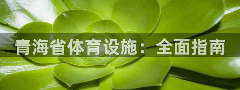 意昂体育3平台APP：青海省体育设施：全面指南