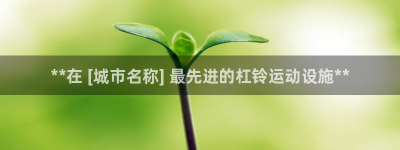 意昂体育3平台注册：**在 [城市名称] 最先进的杠