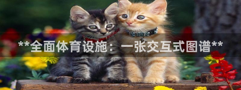 意昂体育3平台是正规平台吗：**全面体育设施：一张交
