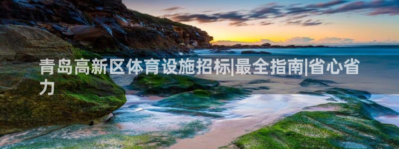 意昂体育3招商：青岛高新区体育设施招标|最全指南|省