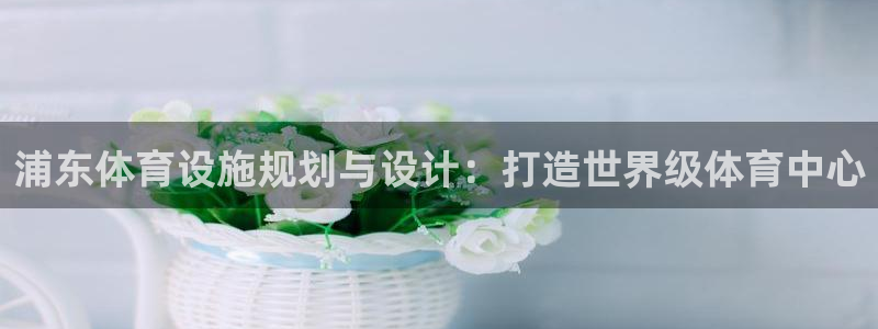 意昂体育3平台注册要钱吗：浦东体育设施规划与设计：打