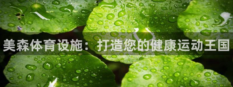 意昂体育3平台假的吗是真的吗吗：美森体育设施：打造您