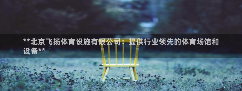 意昂体育3：**北京飞扬体育设施有限公司：提供行业领