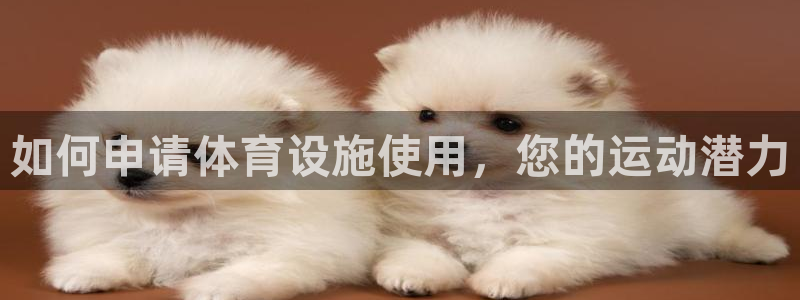 意昂体育3：如何申请体育设施使用，您的运动潜力