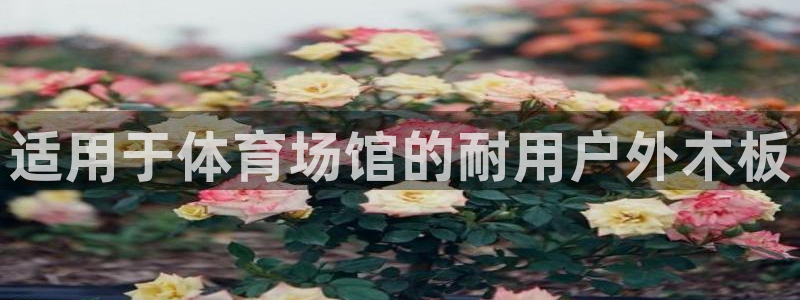 意昂体育3招商电话地址：适用于体育场馆的耐用户外木板