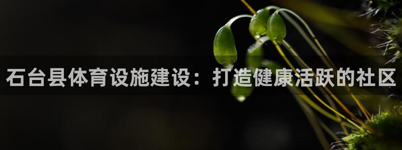 意昂3神州：石台县体育设施建设：打造健康活跃的社区