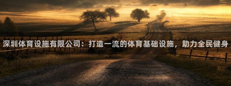 意昂3五金厂：深圳体育设施有限公司：打造一流的体育基