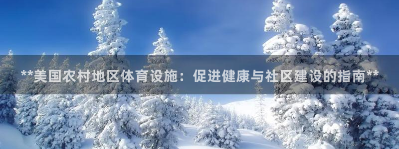意昂3五金厂：**美国农村地区体育设施：促进健康与社