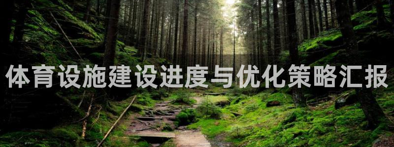 意昂体育3：体育设施建设进度与优化策略汇报