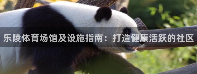 意昂3集团logo：乐陵体育场馆及设施指南：打造健康