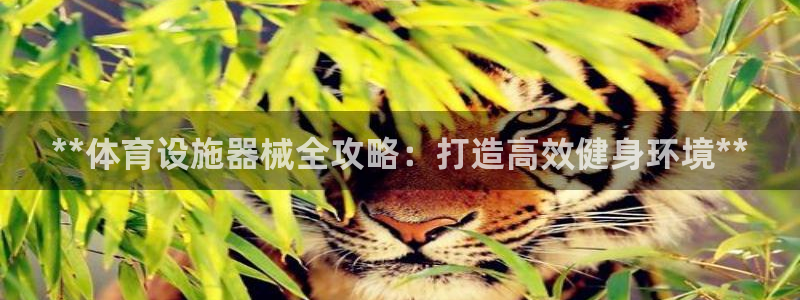 意昂体育3平台是正规平台吗：**体育设施器械全攻略：