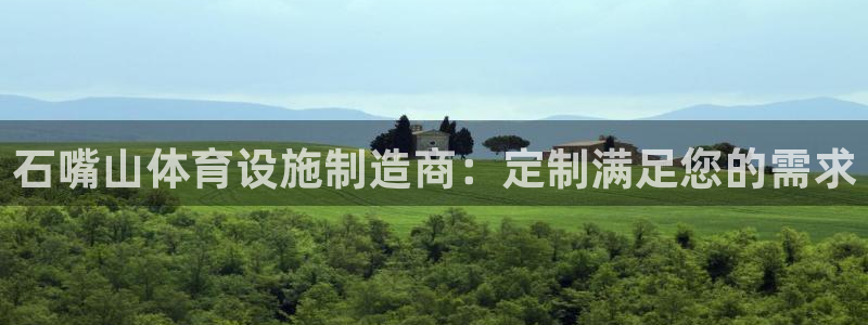 意昂体育3平台：石嘴山体育设施制造商：定制满足您的需