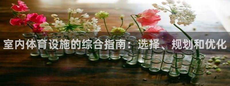 意昂3集团：室内体育设施的综合指南：选择、规划和优化