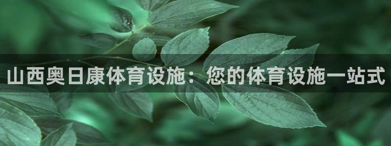 意昂3集团logo：山西奥日康体育设施：您的体育设施