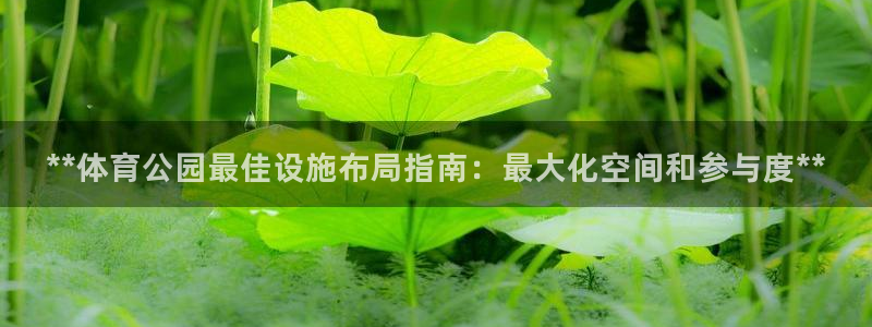 意昂3开户