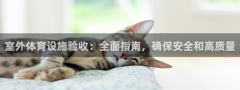 意昂3五金厂：室外体育设施验收：全面指南，确保安全和