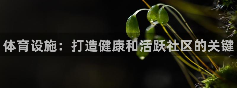 意昂3娱乐首页网站大全