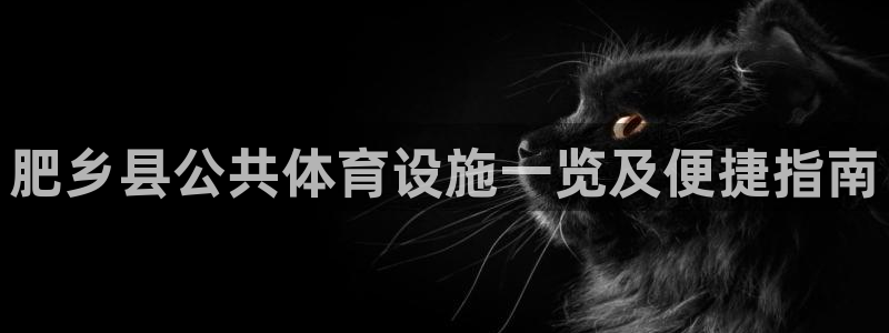 意昂体育3平台APP：肥乡县公共体育设施一览及便捷指