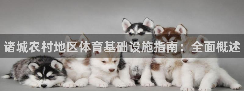 意昂3娱乐首页官网下载：诸城农村地区体育基础设施指南