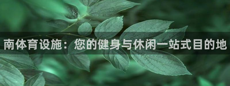 意昂体育3招商电话号码查询：南体育设施：您的健身与休