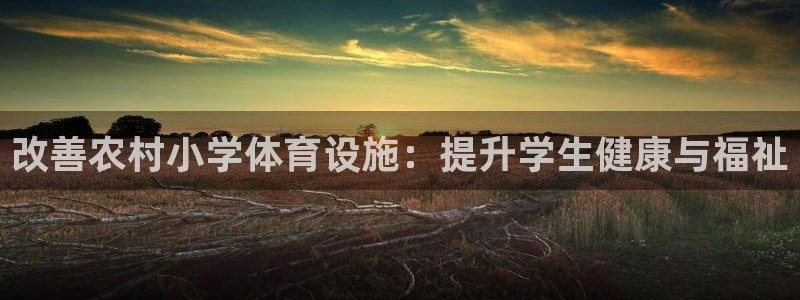 意昂体育3平台注册：改善农村小学体育设施：提升学生健康与福祉