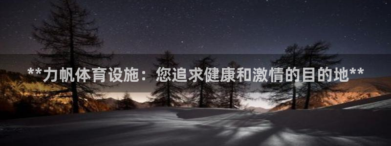 意昂3集团简介：**力帆体育设施：您追求健康和激情的