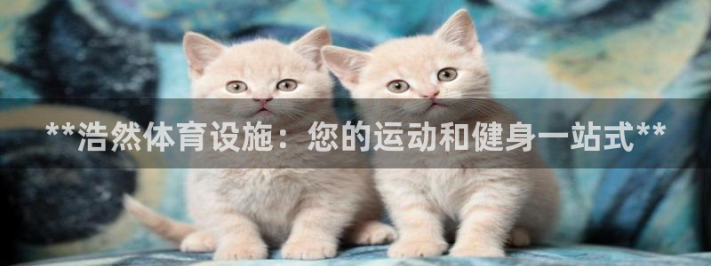 意昂体育3注册：**浩然体育设施：您的运动和健身一站