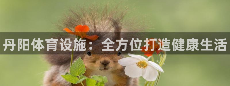 意昂体育3平台注册要钱吗是真的吗：丹阳体育设施：全方