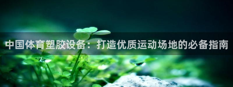 意昂3娱乐是那个系列的台子：中国体育塑胶设备：打造优