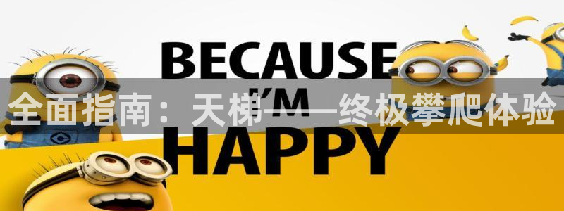 意昂3新能源：全面指南：天梯——终极攀爬体验