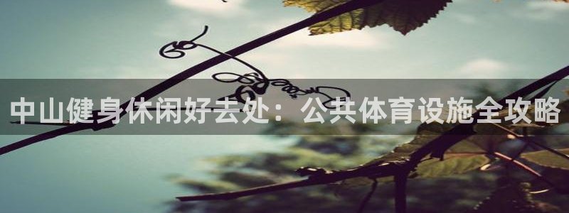 意昂体育3注册：中山健身休闲好去处：公共体育设施全攻