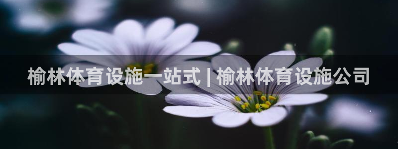 意昂体育3平台假的吗是真的吗吗：榆林体育设施一站式 
