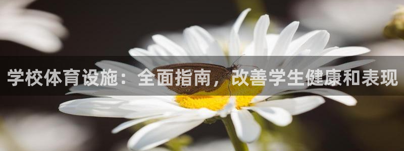 意昂平台体育：学校体育设施：全面指南，改善学生健康和
