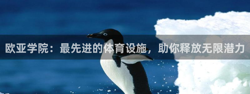 意昂体育3平台假的吗是真的吗