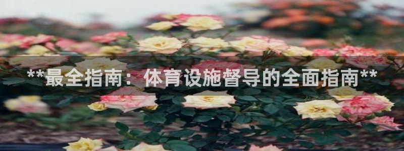 意昂3娱乐首页网站大全：**最全指南：体育设施督导的