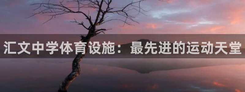 意昂体育3招商电话是多少：汇文中学体育设施：最先进的