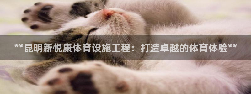 意昂体育3娱乐：**昆明新悦康体育设施工程：打造卓越