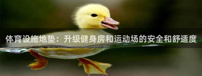 意昂3科技：体育设施地垫：升级健身房和运动场的安全和