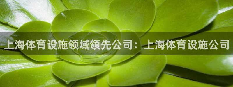 意昂3娱乐40996：上海体育设施领域领先公司：上海
