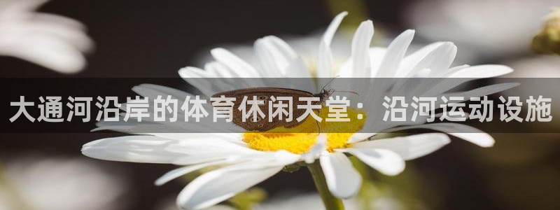 意昂3娱乐是那个系列的台子：大通河沿岸的体育休闲天堂